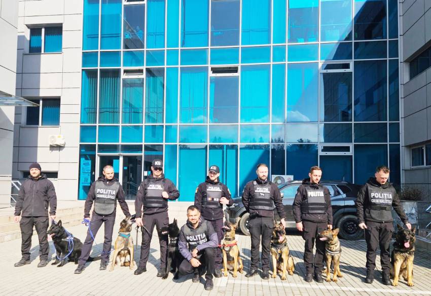 4 caini ipj - Ei sunt câinii MAI ai Argeșului! Antrenați să detecteze droguri sau explozibil și să găsească persoane dispărute!