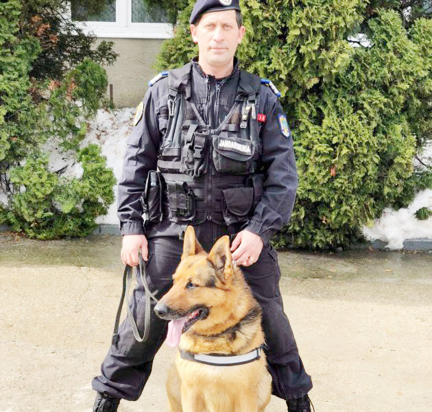 6 Dix Jandarmerie - Ei sunt câinii MAI ai Argeșului! Antrenați să detecteze droguri sau explozibil și să găsească persoane dispărute!