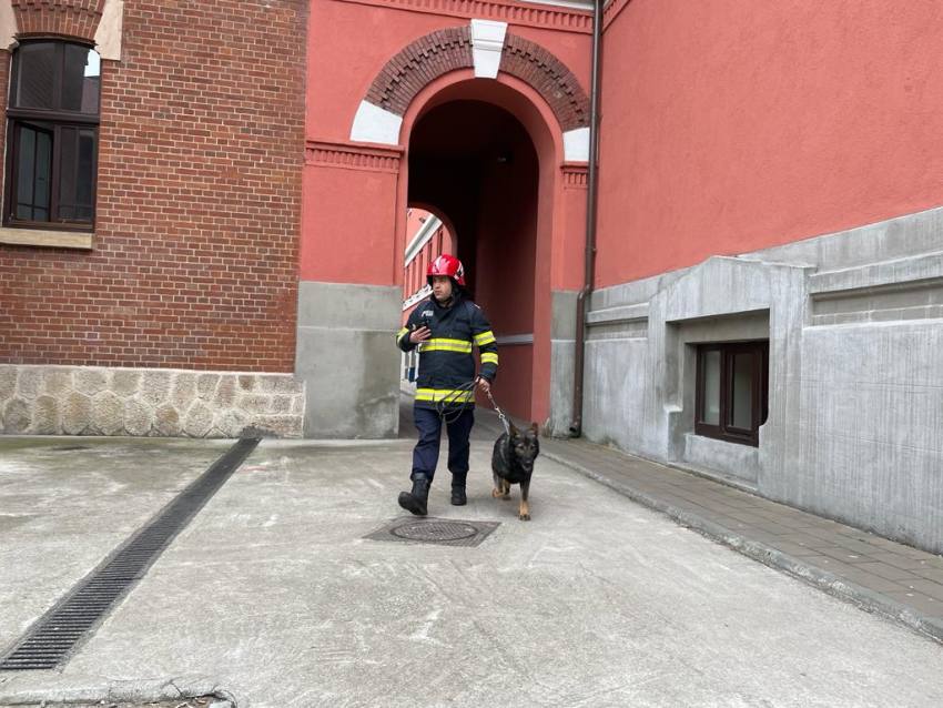 Ega ISU 3 - Ei sunt câinii MAI ai Argeșului! Antrenați să detecteze droguri sau explozibil și să găsească persoane dispărute!