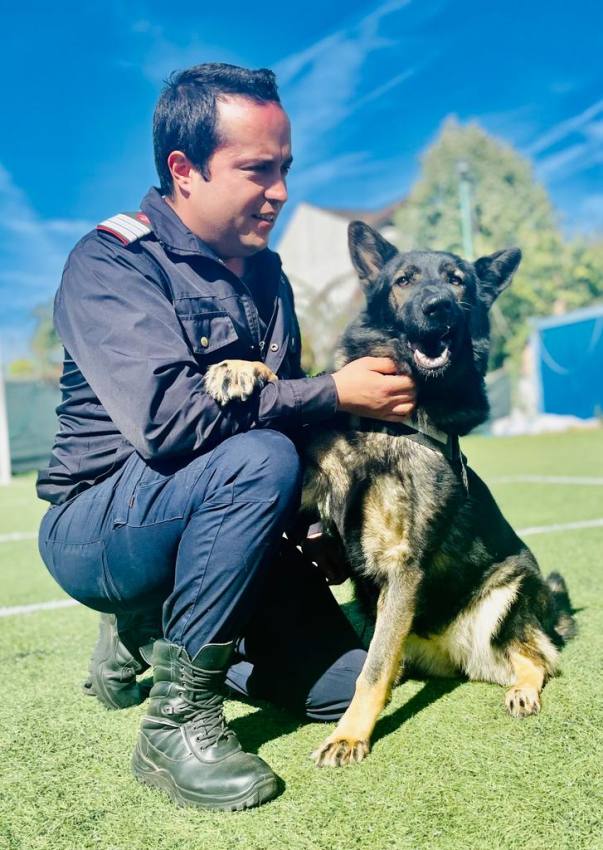 Ega ISU - Ei sunt câinii MAI ai Argeșului! Antrenați să detecteze droguri sau explozibil și să găsească persoane dispărute!