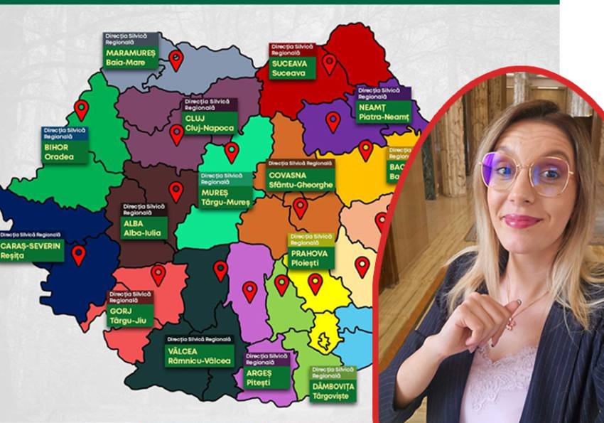 Sursă foto: Colaj Ancheta FB Ministerul Mediului - România si fb Diana Buzoianu