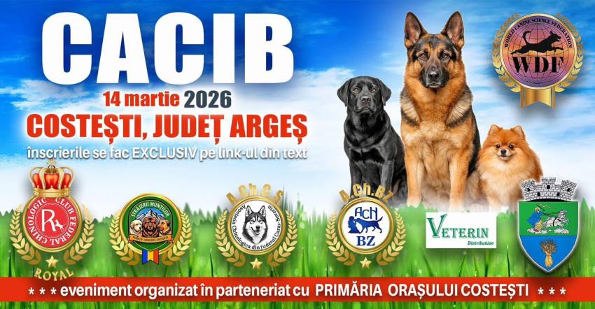 Expoziție chinologică Costești