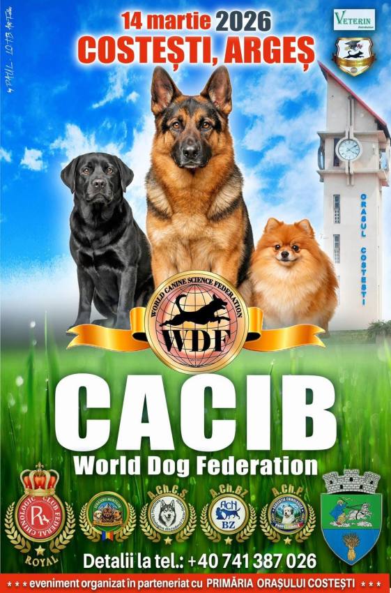 Expoziție chinologică Costești