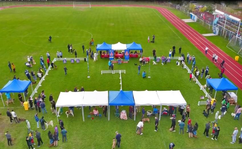 Expoziție chinologică Costești