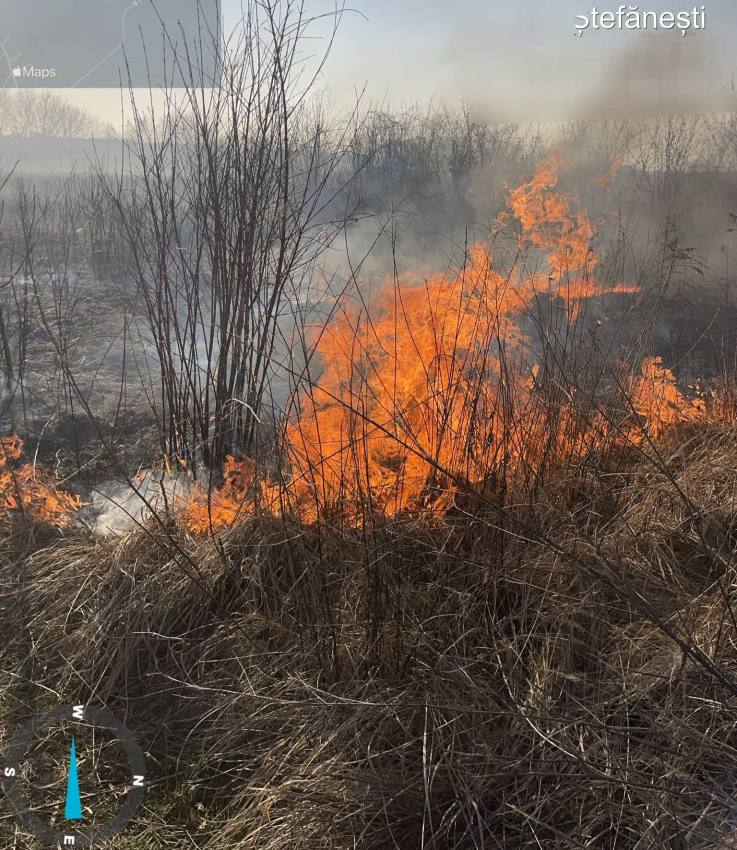 Val de incendii de vegetație în Argeș! Avertismentul pompierilor 1 WhatsApp Image 2026 03 09 at 13.51.0766 - Val de incendii de vegetație în Argeș! Avertismentul pompierilor