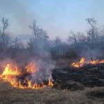 Val de incendii de vegetație în Argeș! Avertismentul pompierilor 15 incendiu vegetație arges