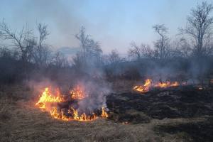 incendiu vegetație arges