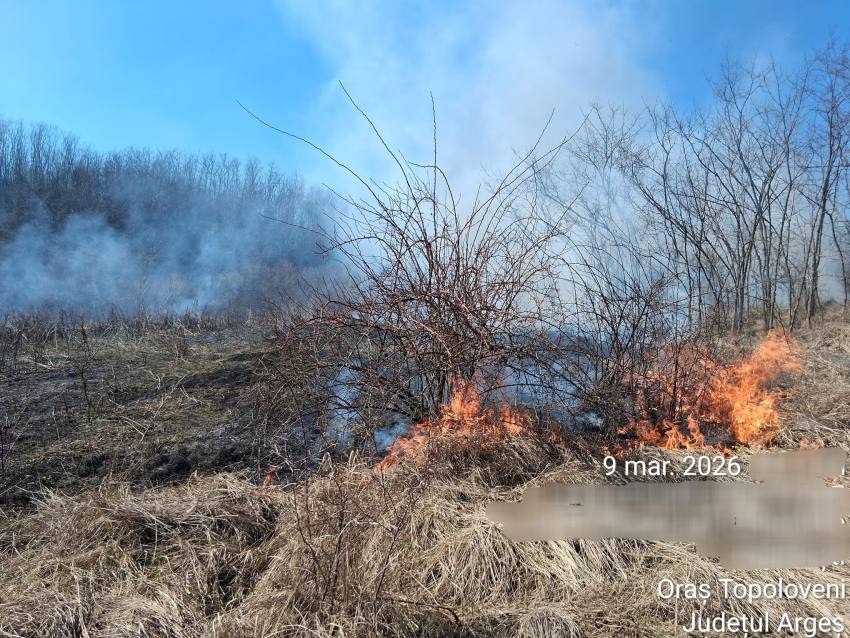 incendiu de vegetație