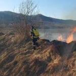 incendiu de vegetație Argeș