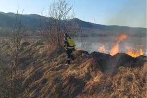 incendiu de vegetație Argeș