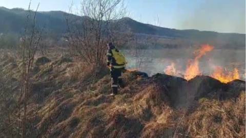 incendiu de vegetație Argeș