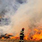 incendiu vegetație