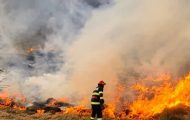incendiu vegetație