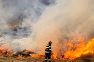incendiu vegetație