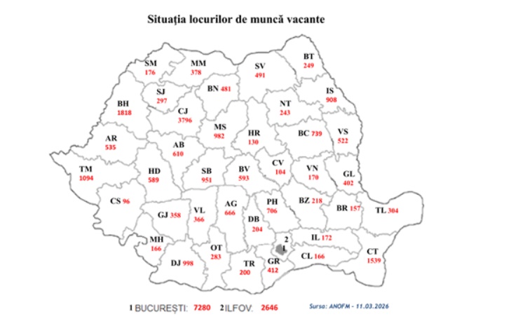 cats 1 - Peste 33.000 de locuri de muncă disponibile în România! Peste 660 sunt în Argeș