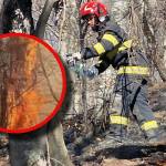 incendii vegetație Argeș