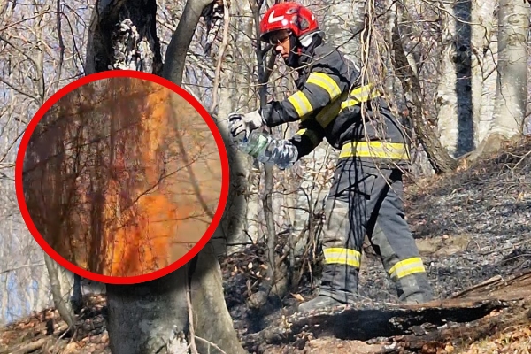 incendii vegetație Argeș