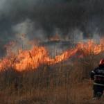 incendiu vegetatie Foto descriptiv deschide.md 2 - Piteștiul nu scapă de amenințarea flăcărilor! Au ars 8.000 mp
