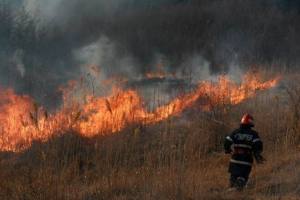 incendiu vegetatie Foto descriptiv deschide.md 2 - Piteștiul nu scapă de amenințarea flăcărilor! Au ars 8.000 mp