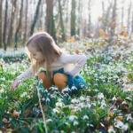 PTQ0MCZoYXNoPThkYjk2ZTg0NDc2ZGY4YzkyMDEyMGY5NjNjZjJhZDAw.thumb - Prognoza meteo actualizată. Cum va fi vremea până pe 13 aprilie