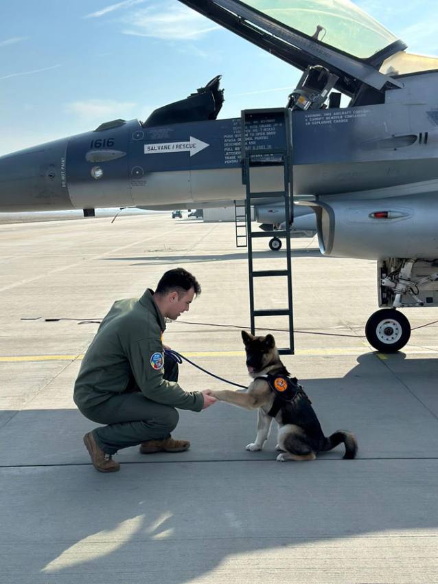 Sursă foto: FB Radu Miriță.