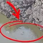 Imagini de la Lacul Vidraru după alerta de poluare