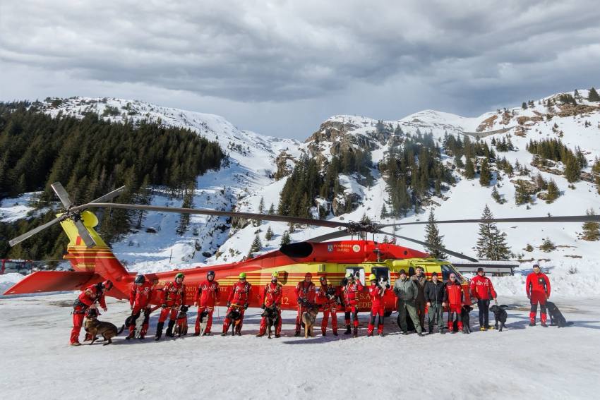 salvatori si caini munte