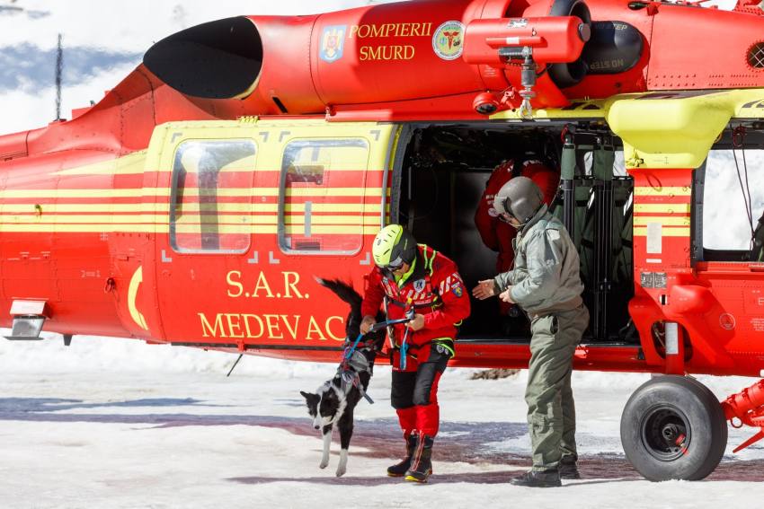 salvatori si caini munte