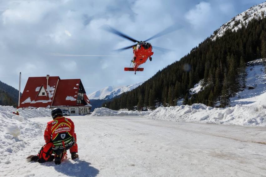 salvatori si caini munte