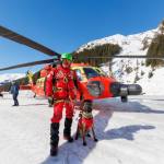 salvatori si caini munte