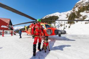 salvatori si caini munte