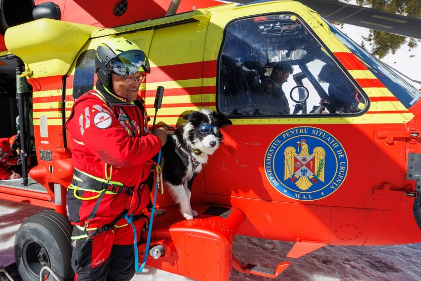 salvatori si caini munte