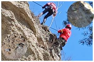 BeFunky collage 11 - Cablu de siguranță FURAT de pe traseul spre Vârful Țurțudan