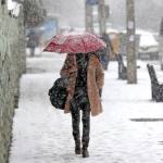 vortex polar NINSOARE