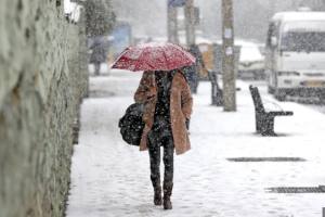 vortex polar NINSOARE