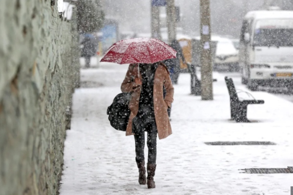 vortex polar NINSOARE vortex polar NINSOARE