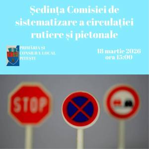 ședința circulatie pitesti