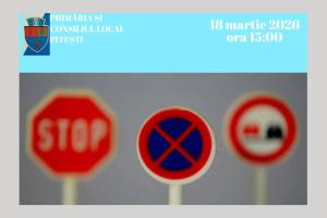ședința circulatie pitesti