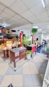 john casa si gradina 1 - Tot ce ai nevoie pentru grădină și casă, într-un singur loc!