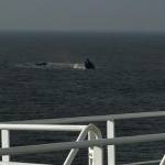 c104d4ff b5c0 45e4 bf55 39e6f543c91f - Remorcher scufundat în Portul Midia. O persoană a murit