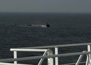 c104d4ff b5c0 45e4 bf55 39e6f543c91f - Remorcher scufundat în Portul Midia. O persoană a murit