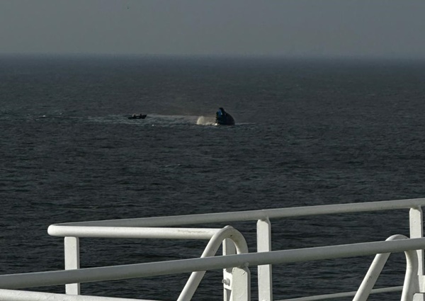 c104d4ff b5c0 45e4 bf55 39e6f543c91f - Remorcher scufundat în Portul Midia. O persoană a murit