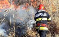 incendii de vegetațieSursă foto: ISU Giurgiu/ descriptiv