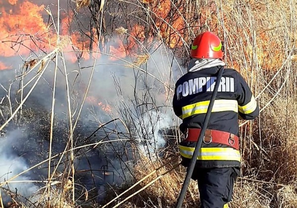 23d67f33 9854 4c0c 8b25 5fcceff3406b - Alte două incendii de vegetație în Argeș. Pompierii au intervenit în Leordeni și Godeni