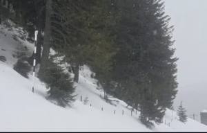 877f68ba 54fc 404b 92c6 f3163aebfc4f - Ninge în munții Făgăraș, la Capra