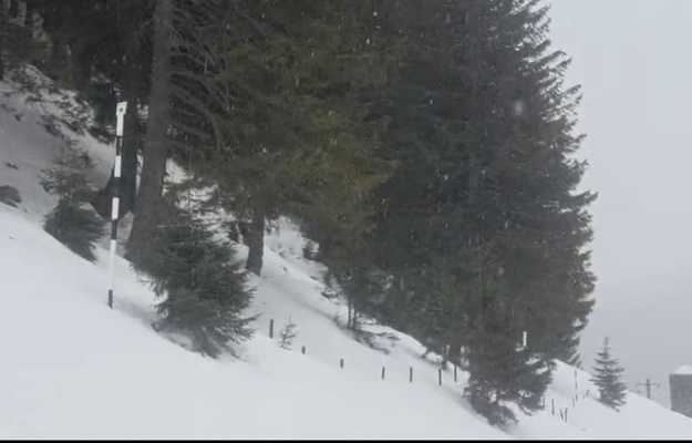 877f68ba 54fc 404b 92c6 f3163aebfc4f - Ninge în munții Făgăraș, la Capra