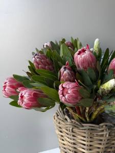 ROXANA SIMA 3 - Roxana Sima: Atunci când o femeie își folosește vocea cu integritate și curaj , ea nu schimbă doar propria poveste, ci inspiră și alte femei să își spună povestea