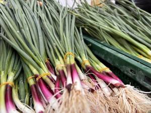 Sursă foto: FB Ministerul Agriculturii