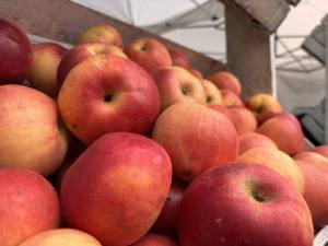 Sursă foto: FB Ministerul Agriculturii