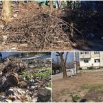 page 1 - Poliția Locală Pitești, controale în cartierul Tudor Vladimirescu